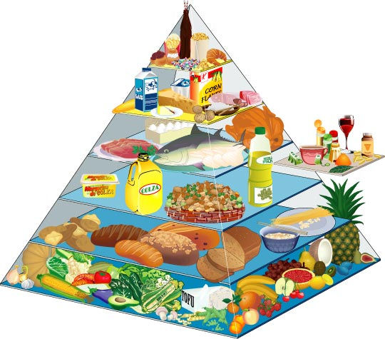 watishonger voedselpyramide