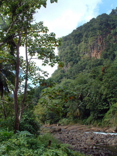 Dominicaans landschap