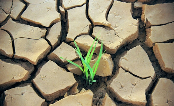 Droge grond