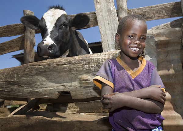 Melk in Tanzania