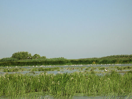 Donauvallei Roemenië
