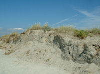 duinen