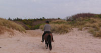 duinen