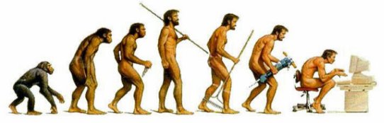 evolutie?