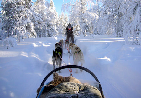 Huskytocht