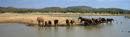 Mafikeng