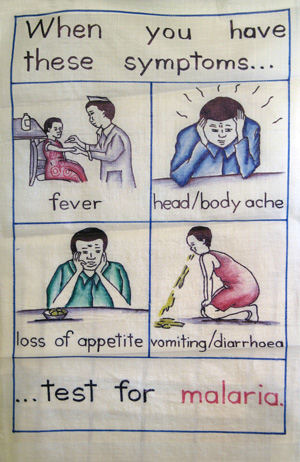 informatieposter malaria