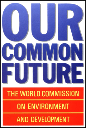 Our common future