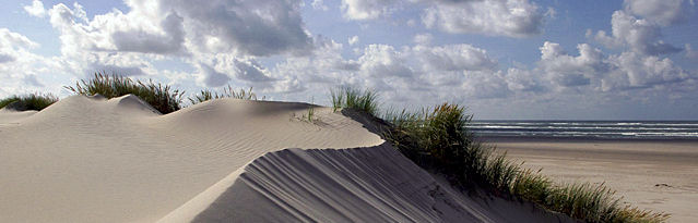 Waddenzee